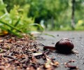 Прогноз погоды по Мурманской области на 25 июля