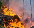 Лесные пожары – под контролем. Авиалесоохрана проводит ежедневные патрули над Мурманской областью
