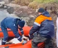 У берегов Керчи в восточной части Крыма спасли лебедя, испачкавшегося в мазуте