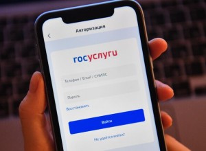 В Татарстане запустили сервис Госконсьерж