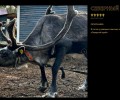 Продолжается прием работ на IX Международный фотоконкурс «Русская цивилизация»