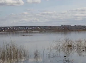 Уровень воды в реке Тобол в районе Кургана