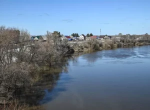 Под Тюменью в восьми населенных пунктах Упоровского района объявили эвакуацию