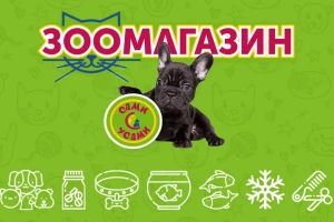 Сами с Усами