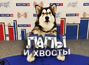 Лапы и хвосты