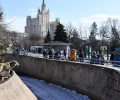 Коллекция животных Московского зоопарка выросла до 1243 видов со дня основания