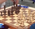 В Мурманске прошел открытый шахматный турнир в рамках Всероссийского спортивного марафона Сила России